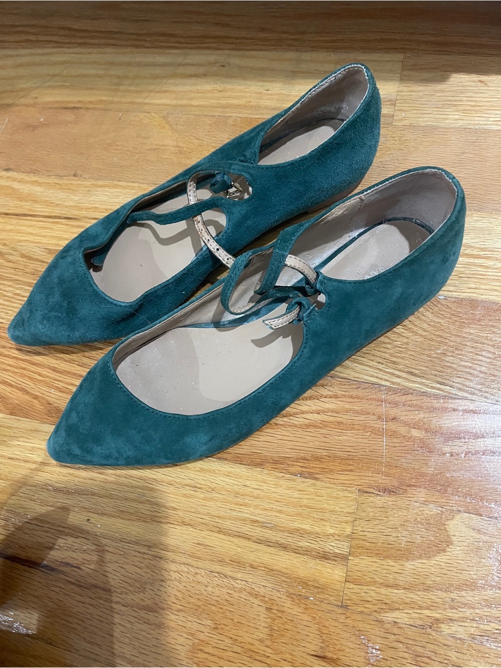 Banana Republic Teal Suede Pointed-Toe Flats with Tie Strap